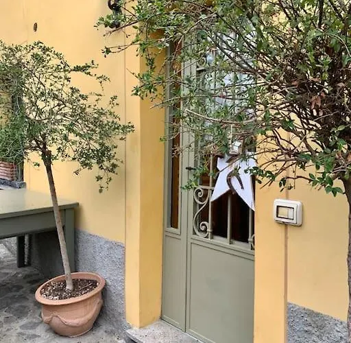 Il Riccio