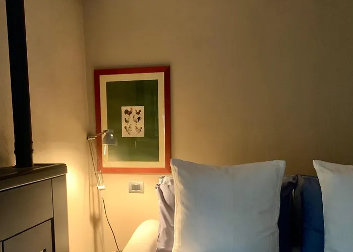 Il Riccio