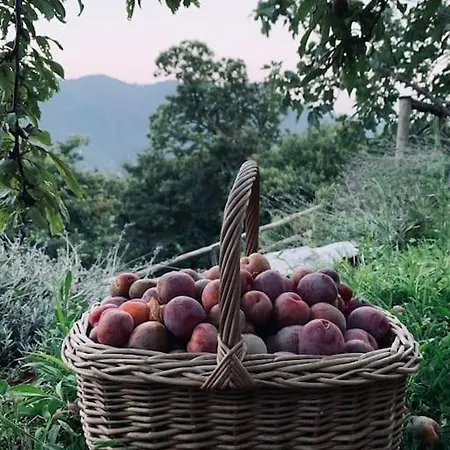 Appartement Il Riccio