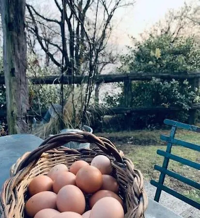 Appartement Il Riccio Cernobbio