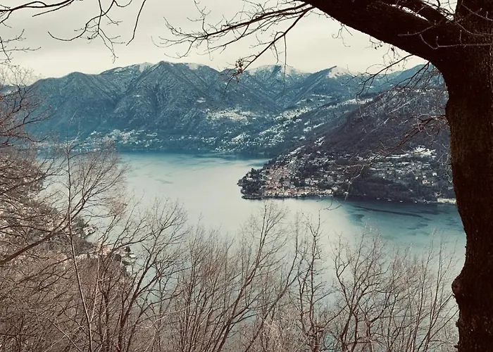 Il Riccio Cernobbio