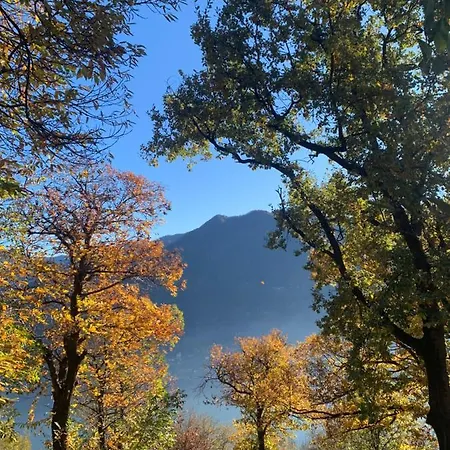 Daire Il Riccio Cernobbio