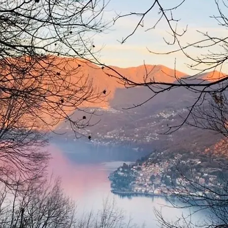Il Riccio Daire *